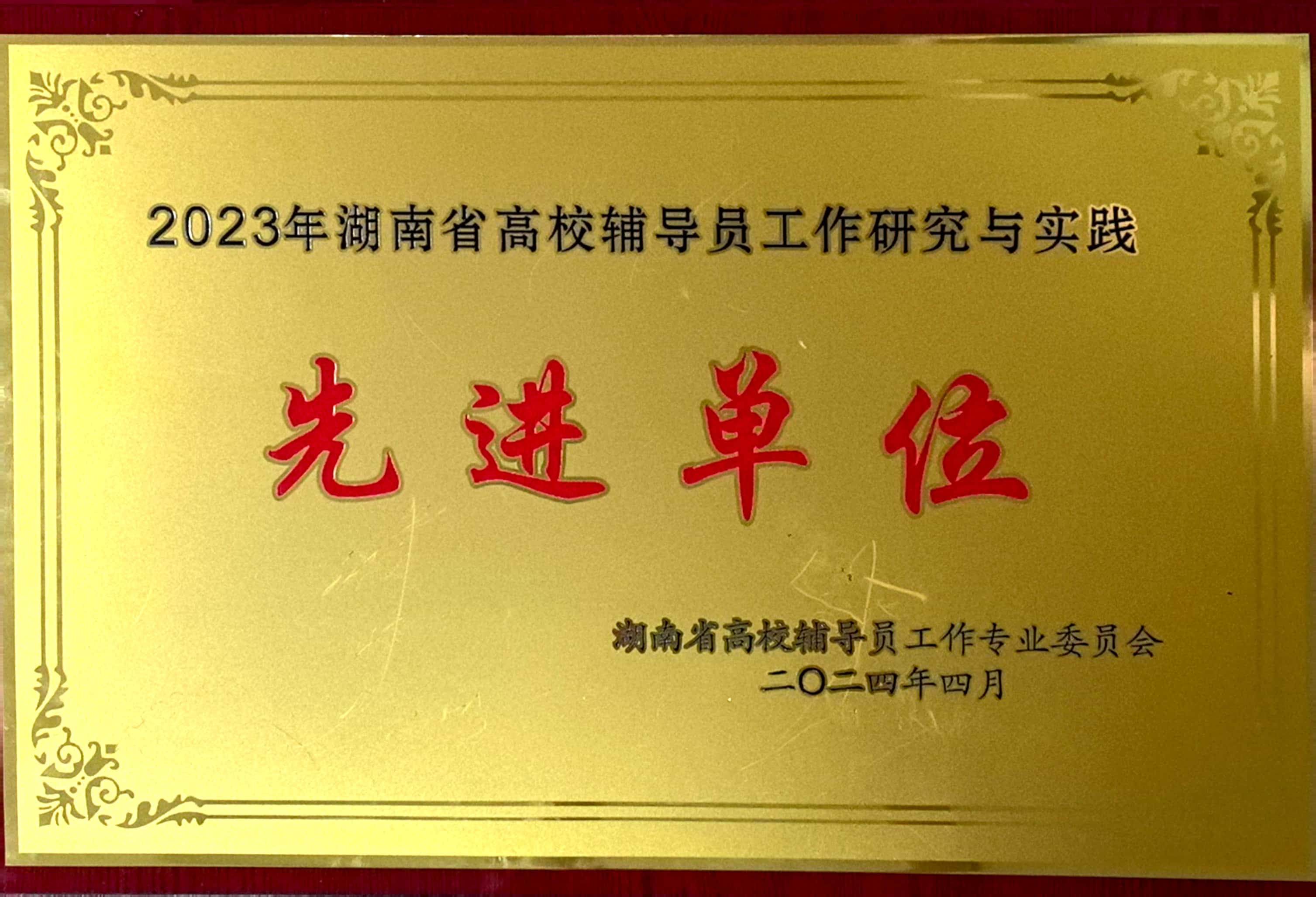 2023年湖南省高校輔導員工作研究與實踐先進單位.jpg